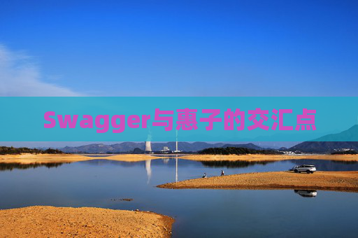 Swagger与惠子的交汇点