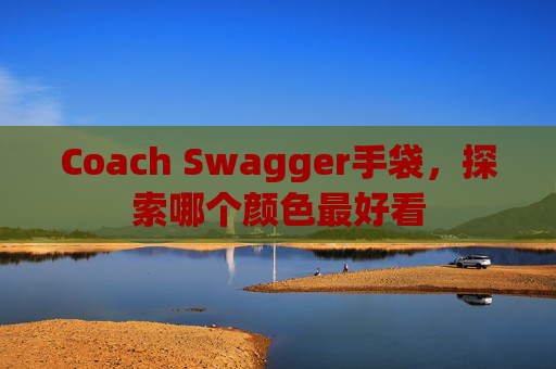 Coach Swagger手袋，探索哪个颜色最好看